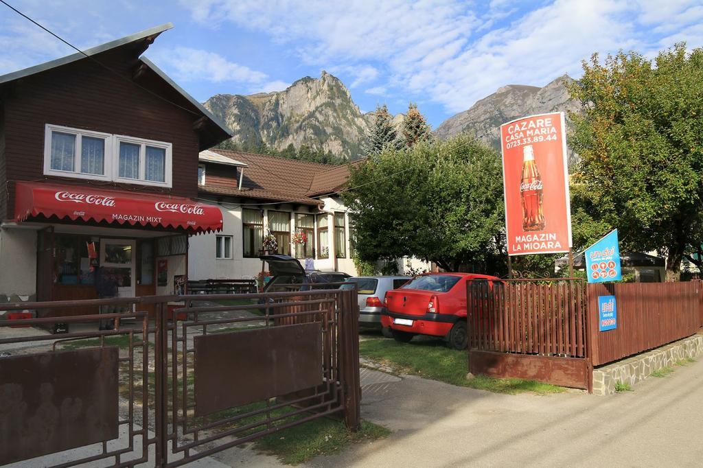 Casa Maria Busteni - Poiana Tapului Zewnętrze zdjęcie